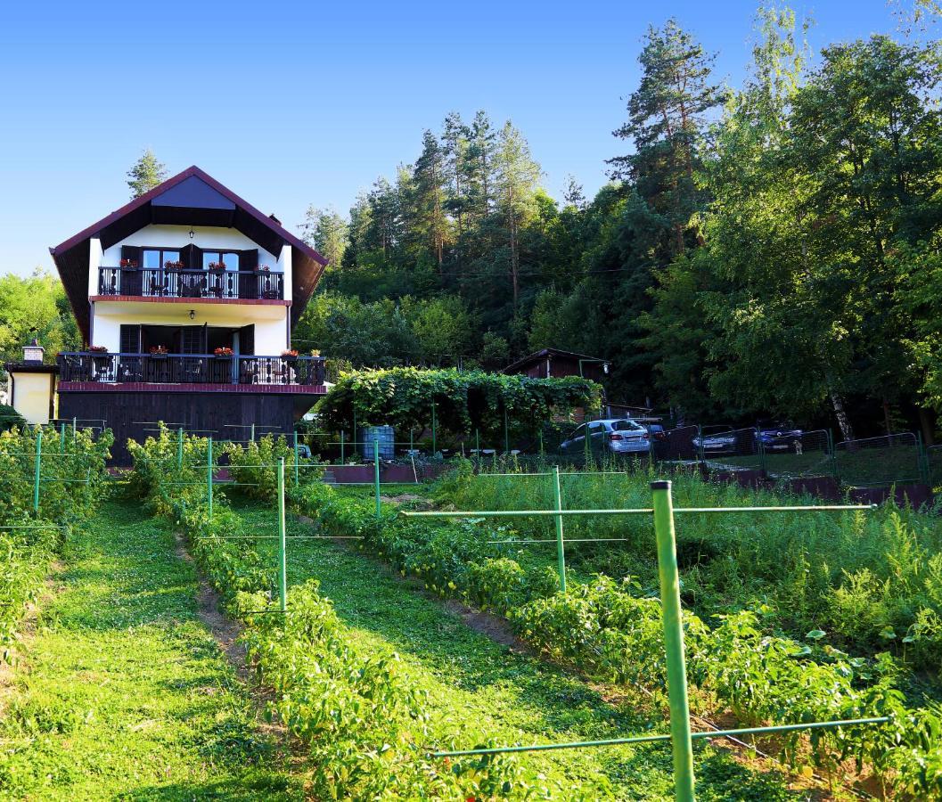 Merak Holiday Home 비소코 외부 사진